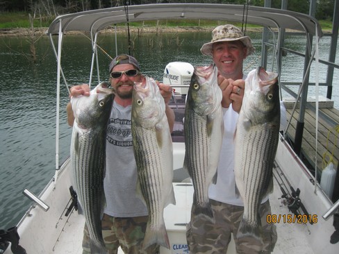 Nice Striped Bass